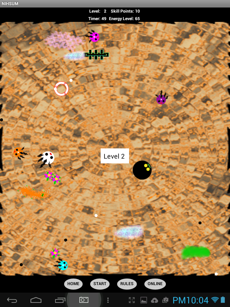 Level 2 - NIHSUM - Screenshot