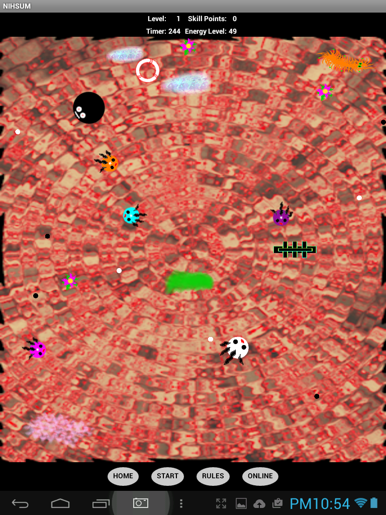Level 1 - NIHSUM - Screenshot